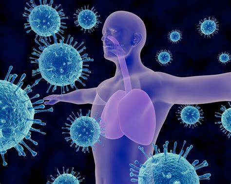 10 Evidence-Based Ways to Support Your Immune System Naturally