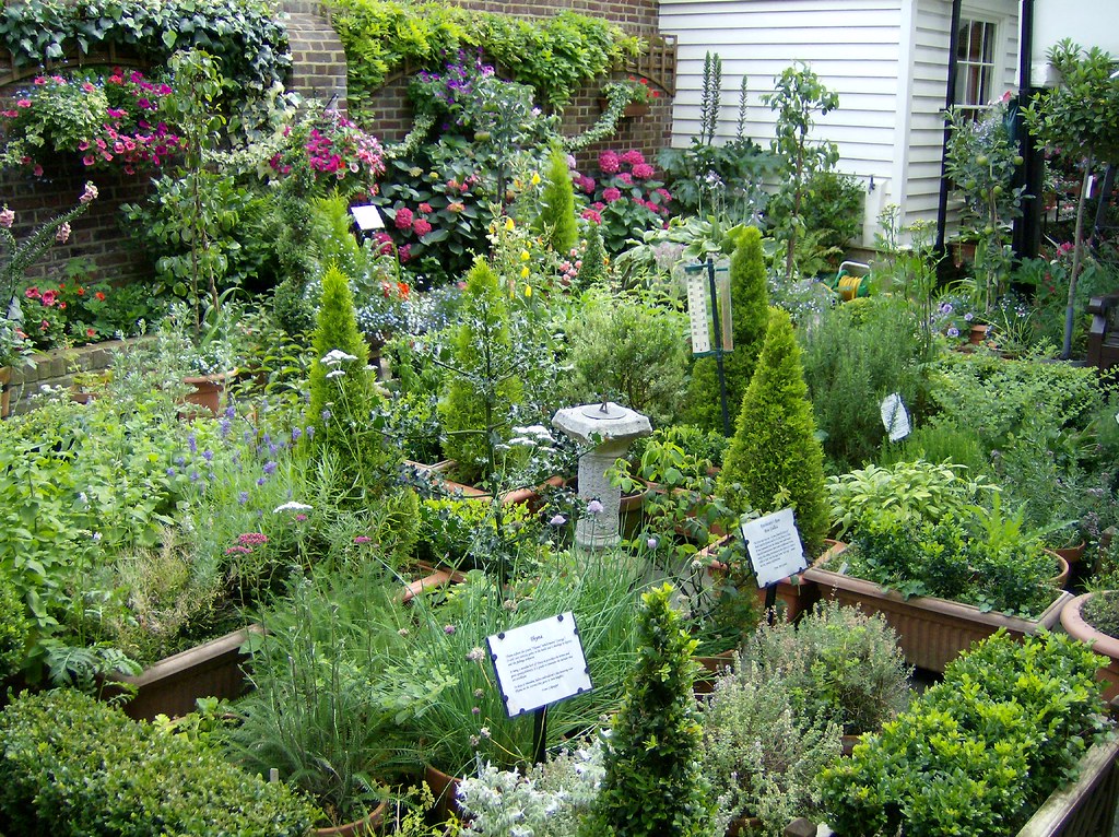 The Science Behind Herbal Medicine: How Do Herbs Work? The Science Behind Herbal Medicine: How Do Herbs Work?