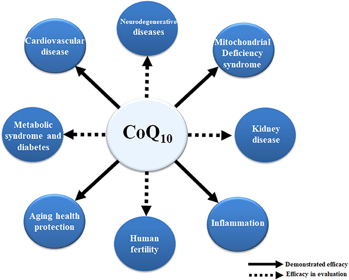 Ischemic Cardiomyopathy: CoQ10 Plant Sources Protocol